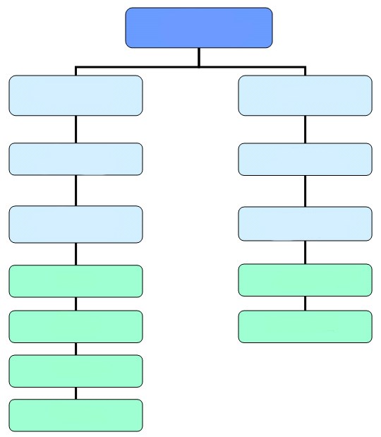 Training & Development Column Chart